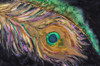 Painting of a colourful feather PosterPrint - Item # VARDPI12268187