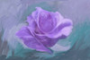 Computer Generated Image Of A Purple Flower PosterPrint - Item # VARDPI2356005