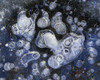 Frozen Bubbles In Pond Ice Eagle River Valley Sc Alaska Winter Chugach State Park PosterPrint - Item # VARDPI2095037