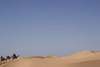 Camel Trek On Sand Dunes PosterPrint - Item # VARDPI1890338