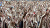 Crowd Of Music Fans Waving Their Hands PosterPrint - Item # VARDPI1886260