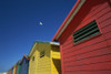 Seagull Flying Over Colorful Beach Huts PosterPrint - Item # VARDPI1888590
