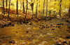 Stream In Autumn PosterPrint - Item # VARDPI1914361
