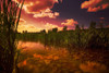 Sunset Over A Lake PosterPrint - Item # VARDPI1830473