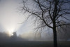 Sunrays Through Fog PosterPrint - Item # VARDPI1835944