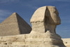 The Sphinx With The Pyramid In Background PosterPrint - Item # VARDPI1851324