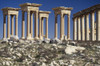 Roman Ruins PosterPrint - Item # VARDPI1886252