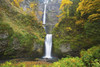 Waterfalls Falling Into A Pool Of Water In A Forested Area PosterPrint - Item # VARDPI1870513