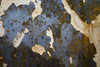 http://c328301.r1.cf1.rackcdn.com/DPI1833300LARGE.jpg