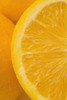 Oranges PosterPrint - Item # VARDPI1794281