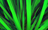 Close-Up View Of A Computer Generated Abstract Design PosterPrint - Item # VARDPI1804536