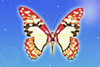 Butterfly PosterPrint - Item # VARDPI1827717