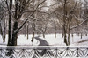 Snow In Central Park PosterPrint