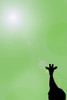 Silhouette Of A Giraffe PosterPrint - Item # VARDPI1827652