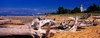 Driftwood on beach, Whitefish Point Lighthouse, Michigan, USA Poster Print by Panoramic Images - Item # VARPPI173762