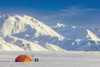 A Backpacking Tent With Snowshoes Next To It With The Alaska Range In The Distance In Winter Isabel Pass Richardson Highway Interior Alaska; Anchorage Alaska United States Of America Poster Print by Kevin G. Smith / Design Pics - Item # VARDPI2262766