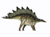 Side profile of a Stegosaurus dinosaur. Poster Print by Corey Ford/Stocktrek Images - Item # VARPSTCFR200847P