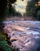 River flowing through a forest, McKenzie River, Belknap Hot Springs, Willamette National Forest, Lane County, Oregon, USA Poster Print by Panoramic Images - Item # VARPPI172487