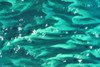 Satellite view of North Atlantic Ocean Poster Print by Panoramic Images - Item # VARPPI181344