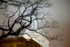 US Capitol at night in fog, Washington D.C., USA Poster Print by Panoramic Images - Item # VARPPI181951