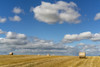 Hay bales on a cut field under a blue sky with cloud; Ravensworth, North Yorkshire, England Poster Print by John Short / Design Pics - Item # VARDPI12324616