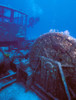 Doc Polson Wreck in the sea, Grand Cayman, Cayman Islands Poster Print by Panoramic Images - Item # VARPPI173699