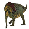 Front view of a Shuangmiaosaurus dinosaur. Poster Print by Corey Ford/Stocktrek Images - Item # VARPSTCFR200843P