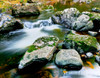 View of the Little Carp River, Porcupine Mountains State Park, Upper Peninsula, Michigan, USA Poster Print by Panoramic Images - Item # VARPPI167242