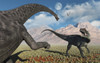 A large Diplodocus dinosaur confronting a, Allosaurus. Poster Print by Mark Stevenson/Stocktrek Images - Item # VARPSTMAS600142P