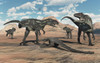 A pack of Allosaurus dinosaurs surrounding a dead sauropod. Poster Print by Mark Stevenson/Stocktrek Images - Item # VARPSTMAS600167P