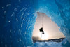 Composite: View From Inside An Ice Cave Of An Iceberg Frozen In Mendenhall Lake As An Ice Climber Rappels Down A Rope, Juneau, Southeast Alaska, Winter Poster Print by John Hyde / Design Pics - Item # VARDPI2102815