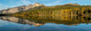 Scenic view of a lake in forest, British Columbia, Canada Poster Print by Panoramic Images - Item # VARPPI174086