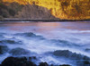 Surf breaks at Cape Arago; Charleston, Oregon, United States of America Poster Print by Robert L. Potts / Design Pics - Item # VARDPI2395499