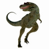 Albertosaurus dinosaur on white background. Poster Print by Corey Ford/Stocktrek Images - Item # VARPSTCFR200817P