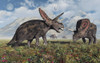 Torosaurus dinosaurs during Earth's Cretaceous period. Poster Print by Mark Stevenson/Stocktrek Images - Item # VARPSTMAS600147P