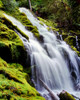 Water falling from rocks in a forest, Upper Proxy Falls, Willamette National Forest, Lane County, Oregon, USA Poster Print by Panoramic Images - Item # VARPPI172498