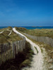 Sand dunes on beach, Abers Coast, Finistere, Brittany, France Poster Print by Panoramic Images - Item # VARPPI172967