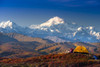 A Woman Relaxes Next To Her Tent In Peters Hills With A View Of Mt. Mckinley In The Background, Denali State Park, Southcentral Alaska, Fall Poster Print by Michael Jones / Design Pics - Item # VARDPI2167311