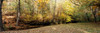 Stream passing through a forest, Rock County, Wisconsin, USA Poster Print by Panoramic Images - Item # VARPPI104525