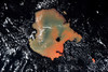 Satellite view of Lake Tana, Amhara Region, Ethiopia Poster Print by Panoramic Images - Item # VARPPI181251