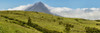 View of Pico Mountain, Pico Island, Azores, Portugal Poster Print by Panoramic Images - Item # VARPPI173448