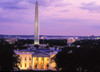 White House at dusk, Washington Monument, Washington DC, USA Poster Print by Panoramic Images - Item # VARPPI173763