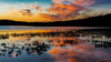 Skilak Lake, Alaska, the Aleutian Mountain Range Poster Print by Panoramic Images - Item # VARPPI182407
