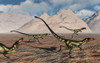 A pack of tyrannosaurid Dilong dinosaurs. Poster Print by Mark Stevenson/Stocktrek Images - Item # VARPSTMAS600122P