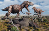 A pack of carnivorous T-rex dinosaurs with their freshly killed Triceratops. Poster Print by Mark Stevenson/Stocktrek Images - Item # VARPSTMAS600144P