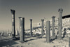 Ruins of ancient Jewish and Roman city, Umm Qais, Gadara, Jordan Poster Print by Panoramic Images - Item # VARPPI155929
