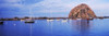 Sailboats in an ocean, Morro Bay, San Luis Obispo County, California, USA Poster Print by Panoramic Images - Item # VARPPI158552