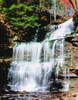 Water falling from rocks in a forest, Genoa Falls, Kitchen Creek, Ricketts Glen State Park, Pennsylvania, USA Poster Print by Panoramic Images - Item # VARPPI167327 Water falling from rocks in a forest, Genoa Falls, Kitchen Creek, Ricketts Glen State Park, Pennsylvania, USA Poster Print by Panoramic Images - Item # VARPPI167327