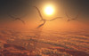 Giant Quetzalcoatlus pterosaurs flying above the clouds. Poster Print by Mark Stevenson/Stocktrek Images - Item # VARPSTMAS600114P