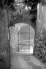 Gate of a villa, Ravello, Salerno, Campania, Italy Poster Print by Panoramic Images - Item # VARPPI172605